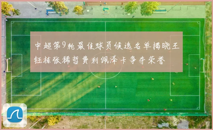 中超第9轮最佳球员候选名单揭晓王钰栋张稀哲费利佩泽卡争夺荣誉